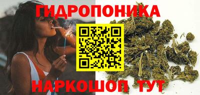 скорость Обь