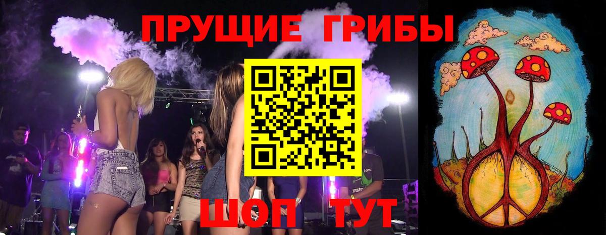 Псилоцибиновые грибы Psilocybine cubensis Сердобск